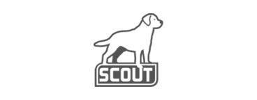 Scout-1